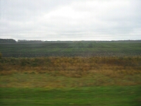 Ukrainian Fields